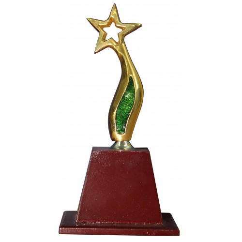 Metal Star Trophy - FTK Little Star 1727