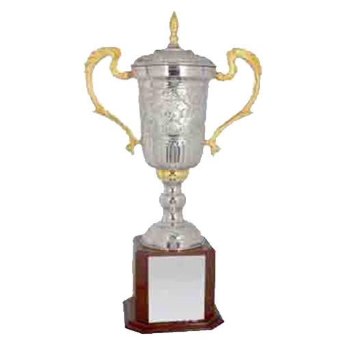 FTK Cup 540