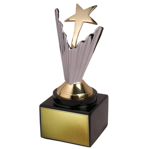 Metal Star Trophy - FTK Star 751